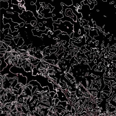 Doğada güzel bitkiler var. Soyut sanat. Arkaplan deseni.