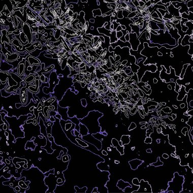 Doğada güzel bitkiler var. Soyut sanat. Arkaplan deseni.