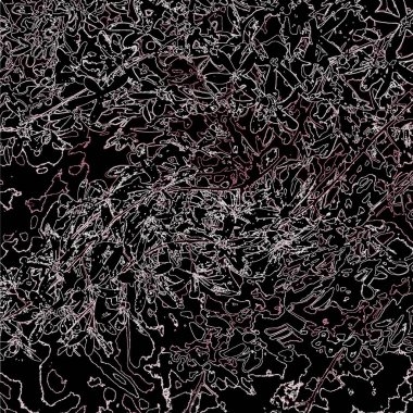 Doğada güzel bitkiler var. Soyut sanat. Arkaplan deseni.