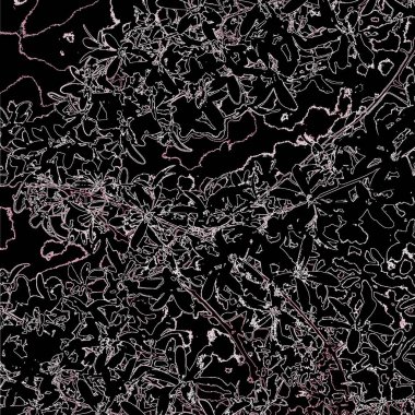 Doğada güzel bitkiler var. Soyut sanat. Arkaplan deseni.