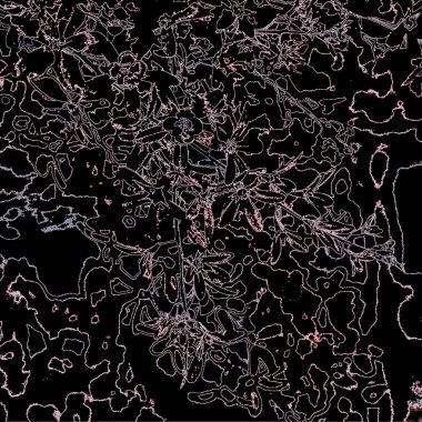 Doğada güzel bitkiler var. Soyut sanat. Arkaplan deseni.