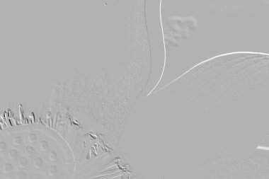 Yaratıcı model. Taş deseni. Seramik doku. Duvar kağıdı tasarımı. Vektör deseni. Satırları tekrarla.