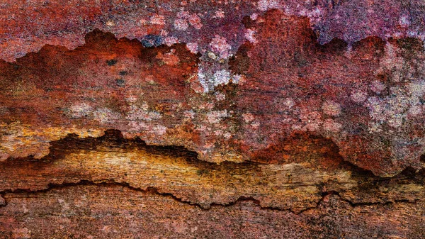 Hermoso Grano Madera Fondo Madera Madera Grano Patrón Textura Fondo — Foto de Stock