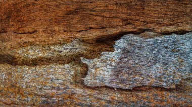 Güzel ahşap tahıl. Ahşap arka. Tahta desenli arkaplan