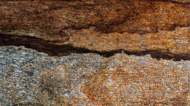 Güzel ahşap tahıl. Ahşap arka. Tahta desenli arkaplan