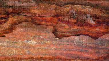 Güzel ahşap tahıl. Ahşap arka. Tahta desenli arkaplan