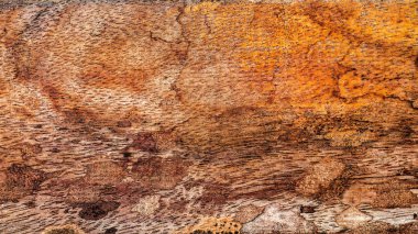 Güzel ahşap tahıl. Ahşap arka. Tahta desenli arkaplan