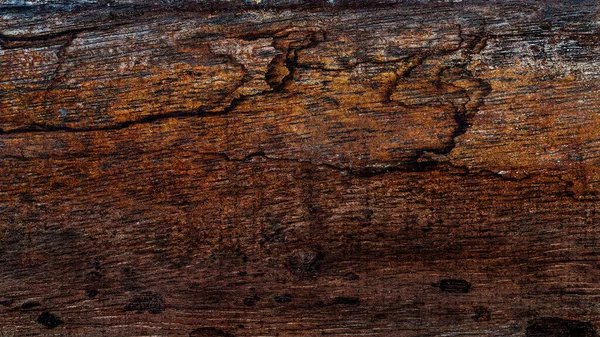 Bella Venatura Del Legno Fondo Legno Grana Legno Texture Sfondo — Foto Stock