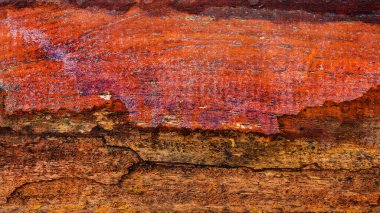 Güzel ahşap tahıl. Ahşap arka. Tahta desenli arkaplan