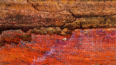 Güzel ahşap tahıl. Ahşap arka. Tahta desenli arkaplan