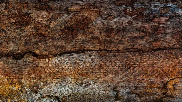 Güzel ahşap tahıl. Ahşap arka. Tahta desenli arkaplan