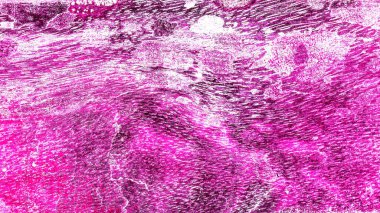 Renkli basit arka plan, dalgalı etkisi. Etkisi noktalarla. Ritmik ses parçacıklar. Tahıl doku. Renkli darbeleri ile duvar kağıdı. Duvar iç tasarım, lockscreen, paket için desen