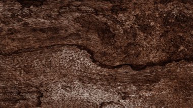 Güzel ahşap tahıl. Ahşap arka. Tahta desenli arkaplan