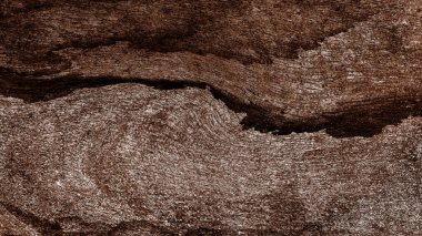 Güzel ahşap tahıl. Ahşap arka. Tahta desenli arkaplan