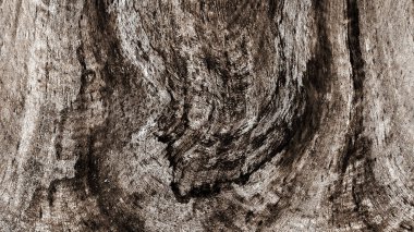 Dalgalı çizgiler. Soyut çizgiler. Doku arka planı. düzensiz desen. Şık modern. Pop sanat. Nokta etkisi. Ritmik gürültü parçacıkları. Paket için desen. Renkli vuruşlu duvar kağıdı.