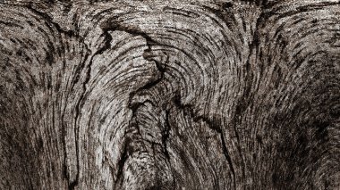 Dalgalı çizgiler. Soyut çizgiler. Doku arka planı. düzensiz desen. Şık modern. Pop sanat. Nokta etkisi. Ritmik gürültü parçacıkları. Paket için desen. Renkli vuruşlu duvar kağıdı.