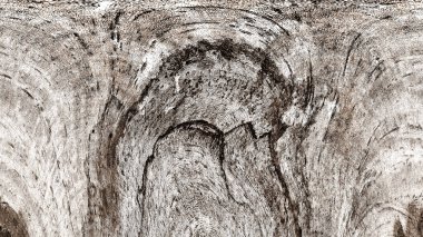 Dalgalı çizgiler. Soyut çizgiler. Doku arka planı. düzensiz desen. Şık modern. Pop sanat. Nokta etkisi. Ritmik gürültü parçacıkları. Paket için desen. Renkli vuruşlu duvar kağıdı.