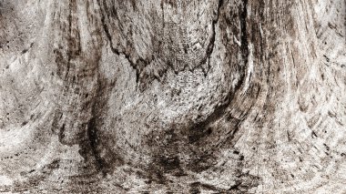 Dalgalı çizgiler. Soyut çizgiler. Doku arka planı. düzensiz desen. Şık modern. Pop sanat. Nokta etkisi. Ritmik gürültü parçacıkları. Paket için desen. Renkli vuruşlu duvar kağıdı.