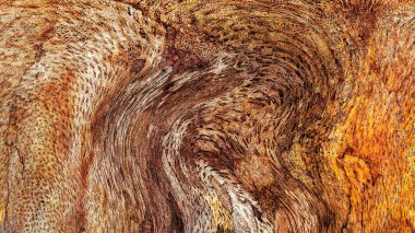 Dalgalı çizgiler. Soyut çizgiler. Doku arka planı. düzensiz desen. Şık modern. Pop sanat. Nokta etkisi. Ritmik gürültü parçacıkları. Paket için desen. Renkli vuruşlu duvar kağıdı.