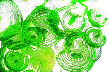 Çember çizgileri, oval çizgiler, geometrik şekiller, tasarım elemanları, soyut kalıplar, arka planlar