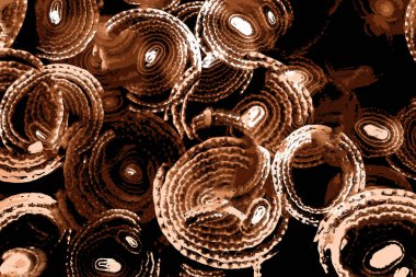 Çember çizgileri, oval çizgiler, geometrik şekiller, tasarım elemanları, soyut kalıplar, arka planlar