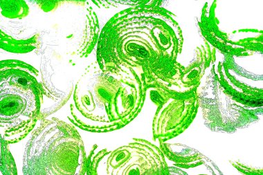 Çember çizgileri, oval çizgiler, geometrik şekiller, tasarım elemanları, soyut kalıplar, arka planlar