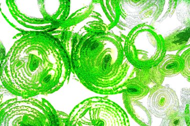 Çember çizgileri, oval çizgiler, geometrik şekiller, tasarım elemanları, soyut kalıplar, arka planlar