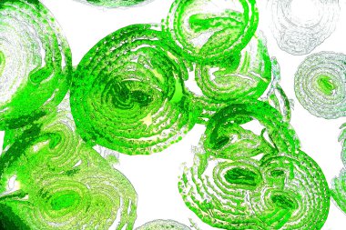 Çember çizgileri, oval çizgiler, geometrik şekiller, tasarım elemanları, soyut kalıplar, arka planlar