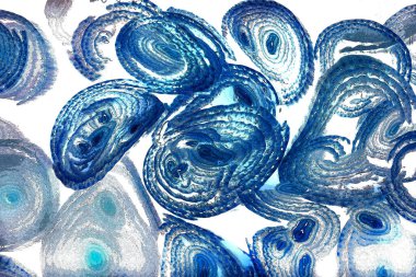 Çember çizgileri, oval çizgiler, geometrik şekiller, tasarım elemanları, soyut kalıplar, arka planlar