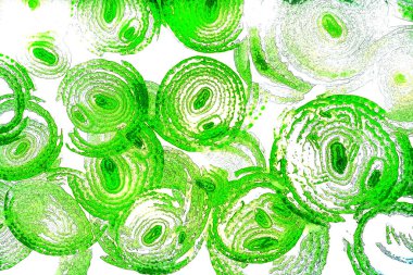 Çember çizgileri, oval çizgiler, geometrik şekiller, tasarım elemanları, soyut kalıplar, arka planlar