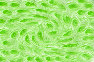 Vektör Dikişsiz çizilmiş desen dalgalar ve bulutlar. Boho tarzı şık resimde. Kumaşlar, tekstil, kağıt, duvar kağıdı. Retro el çekilmiş süsleme.