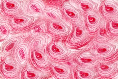 Vektör Dikişsiz çizilmiş desen dalgalar ve bulutlar. Boho tarzı şık resimde. Kumaşlar, tekstil, kağıt, duvar kağıdı. Retro el çekilmiş süsleme.