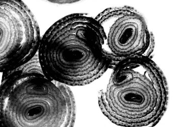 Operasyon sanatı, Moire dalgaları ve renk karışımı ile soyut doku. Geometrik renkli çizgilerle hipnoz arkaplanı rahatlatılıyor.