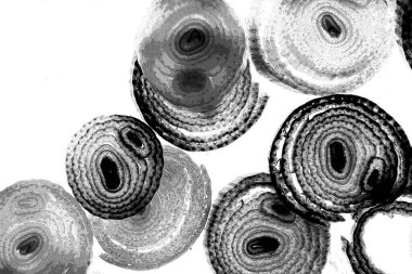 Operasyon sanatı, Moire dalgaları ve renk karışımı ile soyut doku. Geometrik renkli çizgilerle hipnoz arkaplanı rahatlatılıyor.