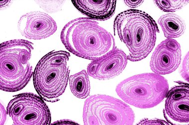 Operasyon sanatı, Moire dalgaları ve renk karışımı ile soyut doku. Geometrik renkli çizgilerle hipnoz arkaplanı rahatlatılıyor.