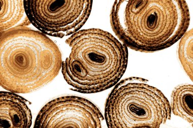 Operasyon sanatı, Moire dalgaları ve renk karışımı ile soyut doku. Geometrik renkli çizgilerle hipnoz arkaplanı rahatlatılıyor.