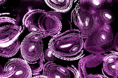 Operasyon sanatı, Moire dalgaları ve renk karışımı ile soyut doku. Geometrik renkli çizgilerle hipnoz arkaplanı rahatlatılıyor.