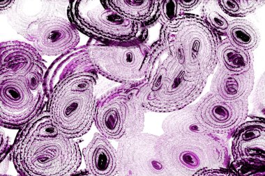 Operasyon sanatı, Moire dalgaları ve renk karışımı ile soyut doku. Geometrik renkli çizgilerle hipnoz arkaplanı rahatlatılıyor.