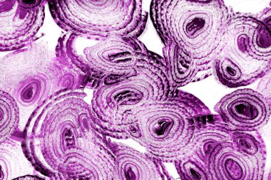 Operasyon sanatı, Moire dalgaları ve renk karışımı ile soyut doku. Geometrik renkli çizgilerle hipnoz arkaplanı rahatlatılıyor.