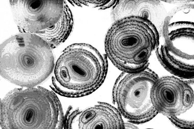 Operasyon sanatı, Moire dalgaları ve renk karışımı ile soyut doku. Geometrik renkli çizgilerle hipnoz arkaplanı rahatlatılıyor.