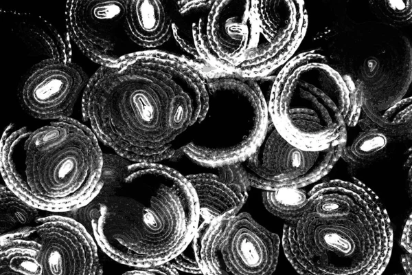 Art Absztrakt Textúra Moire Hullámokkal Színkeveréssel Relaxáló Hipnotikus Háttér Geometriai — Stock Fotó