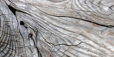 Güzel ahşap tahıl. Ahşap arka. Tahta desenli arkaplan