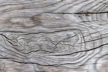 Güzel ahşap tahıl. Ahşap arka. Tahta desenli arkaplan