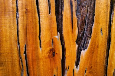 Güzel ahşap tahıl. Ahşap arka. Tahta desenli arkaplan