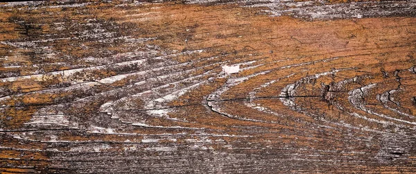 Beautiful wood grain. Wood background. Wood grain pattern texture background