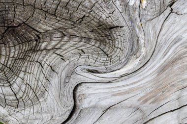 Güzel ahşap tahıl. Ahşap arka. Tahta desenli arkaplan