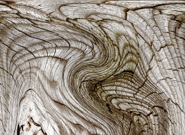 Güzel ahşap tahıl. Ahşap arka. Tahta desenli arkaplan