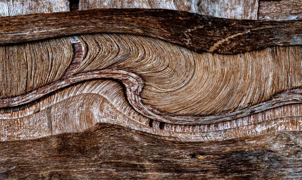 Beautiful wood grain. Wood background. Wood grain pattern texture ...