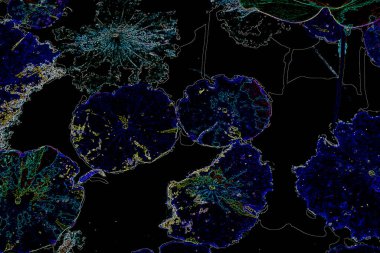 Bitkilerden oluşan yaratıcı floresan renk düzeni. Neon renklerle kaplanmış. Doğa kavramı.