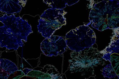 Bitkilerden oluşan yaratıcı floresan renk düzeni. Neon renklerle kaplanmış. Doğa kavramı.
